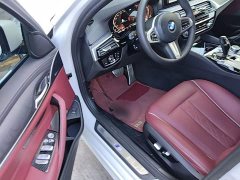 BMW 5 Series Facelift 530Li Premier M Sport Package - ფოტო 15