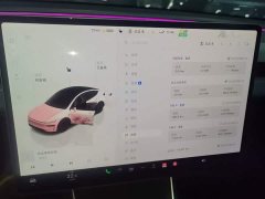 Tesla Model Y Rear-Wheel Drive - ფოტო 11