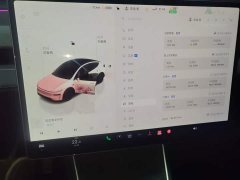 Tesla Model Y Rear-Wheel Drive - ფოტო 12