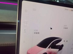 Tesla Model Y Rear-Wheel Drive - ფოტო 13