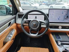 Tank 500 New Energy 2026 Hi4-Z Smart Comfort Edition - ფოტო 14
