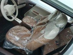 Changan Lumin Treasure Edition 205km Cool Love White CATL - ფოტო 14