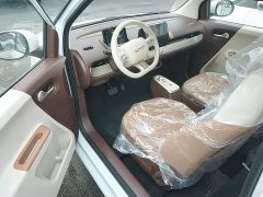 Changan Lumin Treasure Edition 205km Cool Love White CATL - ფოტო 15