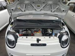 Changan Lumin Treasure Edition 205km Cool Love White CATL - ფოტო 19