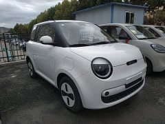 Changan Lumin Treasure Edition 205km Cool Love White CATL - ფოტო 3