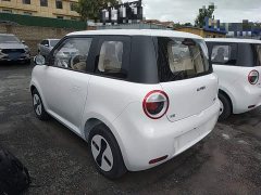 Changan Lumin Treasure Edition 205km Cool Love White CATL - ფოტო 4