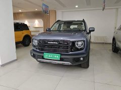 Great Wall Dachshund 2026 1.5T DCT Border Collie Edition - ფოტო 1