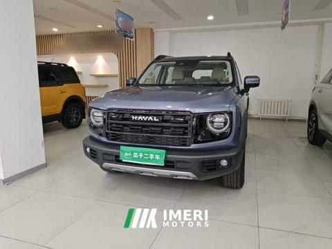 2025 Great Wall Dachshund 2026 1.5T DCT Border Collie Edition - ავტომობილი ჩინეთიდან