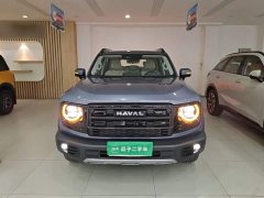 Great Wall Dachshund 2026 1.5T DCT Border Collie Edition - ფოტო 2