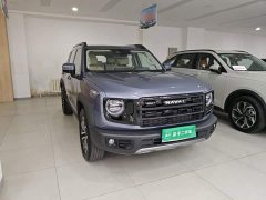 Great Wall Dachshund 2026 1.5T DCT Border Collie Edition - ფოტო 3
