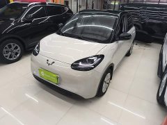 Wuling Binguo 203km Light Enjoy Edition - ფოტო 1