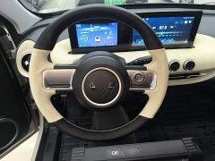 Wuling Binguo 203km Light Enjoy Edition - ფოტო 10