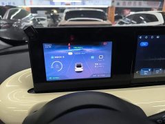 Wuling Binguo 203km Light Enjoy Edition - ფოტო 11