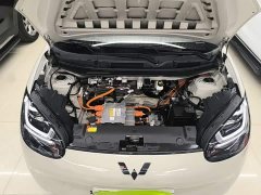 Wuling Binguo 203km Light Enjoy Edition - ფოტო 19