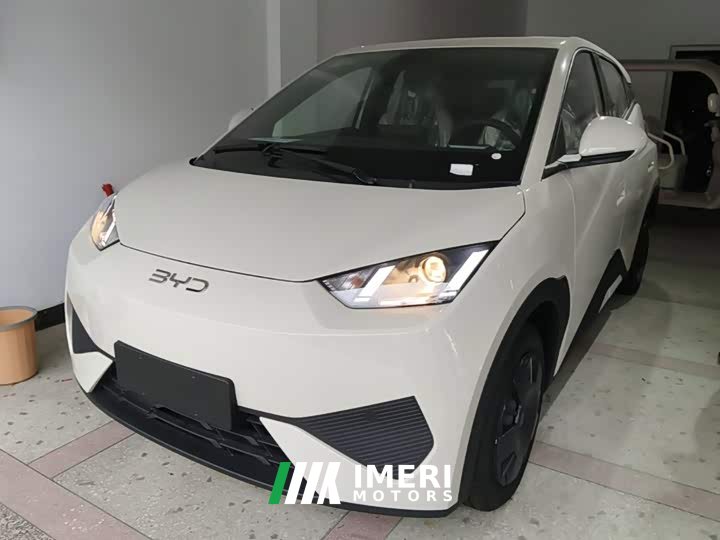 BYD Seagull 305km Vitality Edition - ავტომობილი ჩინეთიდან