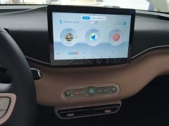 BYD Seagull 305km Vitality Edition - ფოტო 12