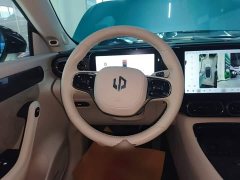 Leapmotor Leapo C11 2021 Premium Edition - ფოტო 10