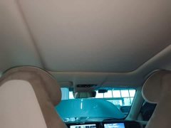 Leapmotor Leapo C11 2021 Premium Edition - ფოტო 17