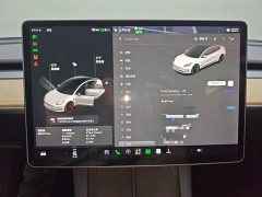 Tesla Model 3 Facelift Standard Range RWD Upgrade 3D1 - ფოტო 11