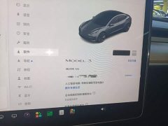 Tesla Model 3 Rear-Wheel Drive - ფოტო 11