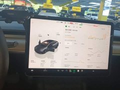 Tesla Model 3 Rear-Wheel Drive - ფოტო 12