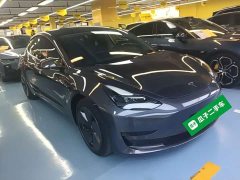 Tesla Model 3 Rear-Wheel Drive - ფოტო 3