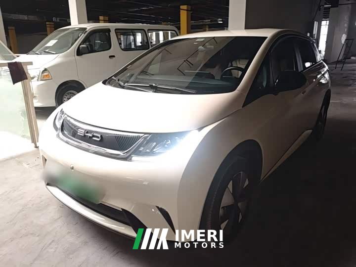 BYD Dolphin 420km Freedom Edition - ავტომობილი ჩინეთიდან