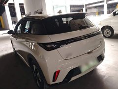 BYD Dolphin 420km Freedom Edition - ფოტო 4