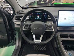 BYD Destroyer 05 Glory Edition DM-i 55KM Luxury - ფოტო 10