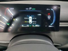 BYD Destroyer 05 Glory Edition DM-i 55KM Luxury - ფოტო 11
