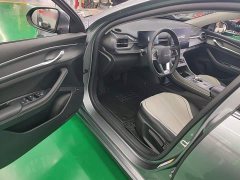BYD Destroyer 05 Glory Edition DM-i 55KM Luxury - ფოტო 15