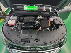 BYD Destroyer 05 Glory Edition DM-i 55KM Luxury - ფოტო 19