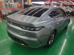 BYD Destroyer 05 Glory Edition DM-i 55KM Luxury - ფოტო 6
