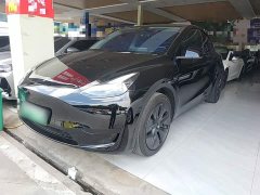 Tesla Model Y Rear-Wheel Drive - ფოტო 1