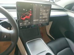 Tesla Model Y Rear-Wheel Drive - ფოტო 12