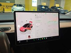 Tesla Model 3 Rear-Wheel Drive - ფოტო 12