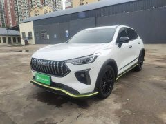 Haval Chitu Jiqing Edition 1.5T Golden Rabbit - ფოტო 1
