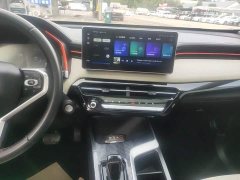 Haval Chitu Jiqing Edition 1.5T Golden Rabbit - ფოტო 12