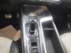 Haval Chitu Jiqing Edition 1.5T Golden Rabbit - ფოტო 13