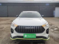 Haval Chitu Jiqing Edition 1.5T Golden Rabbit - ფოტო 2