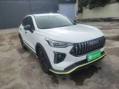 Haval Chitu Jiqing Edition 1.5T Golden Rabbit - ფოტო 3