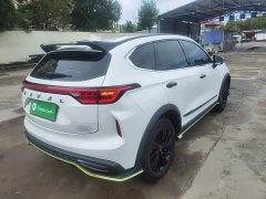 Haval Chitu Jiqing Edition 1.5T Golden Rabbit - ფოტო 6