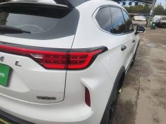 Haval Chitu Jiqing Edition 1.5T Golden Rabbit - ფოტო 7