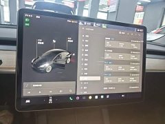 Tesla Model 3 Standard Range RWD Upgrade 3D6 - ფოტო 6