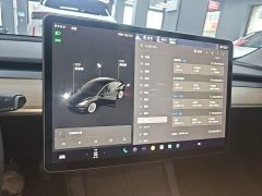 Tesla Model 3 Standard Range RWD Upgrade 3D6 - ფოტო 7