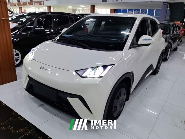 BYD Seagull 2023 Vitality Edition - ავტომობილი ჩინეთიდან