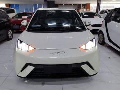 BYD Seagull 2023 Vitality Edition - ფოტო 2