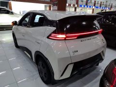 BYD Seagull 2023 Vitality Edition - ფოტო 4
