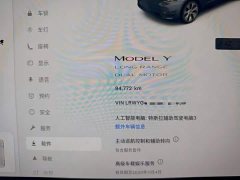 Tesla Model Y Long Range All-Wheel Drive - ფოტო 11