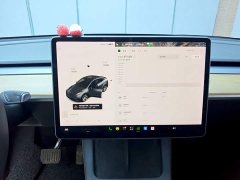 Tesla Model Y Long Range All-Wheel Drive - ფოტო 12
